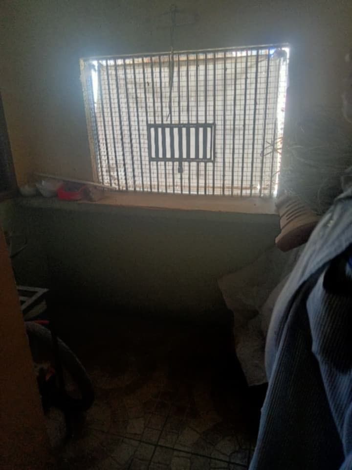 HOUSE FOR RENT: - photo 5