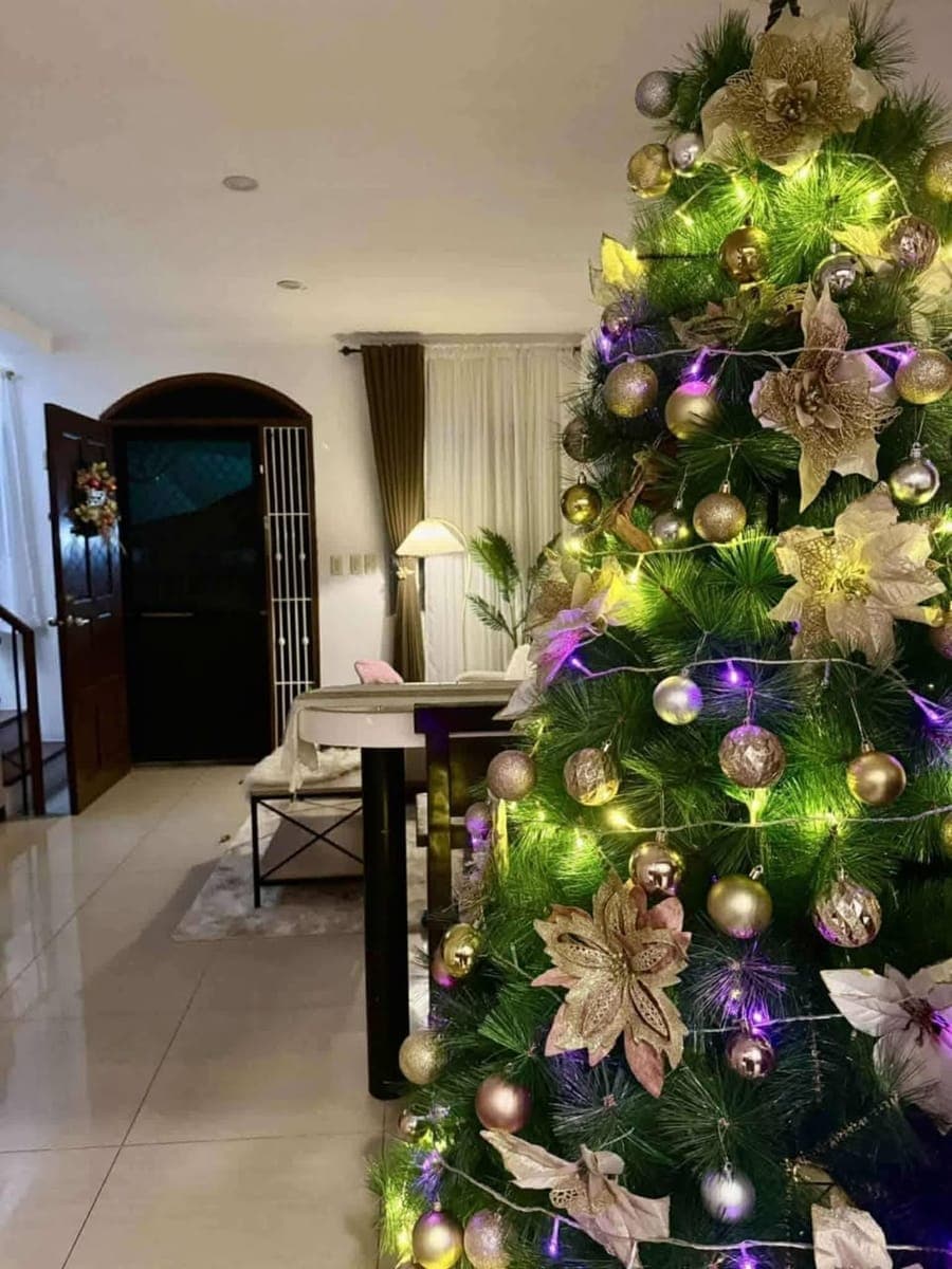 For Sale / For Rent – Renovated Mariella Model, Suntrust Verona, Silang Cavite - photo 1