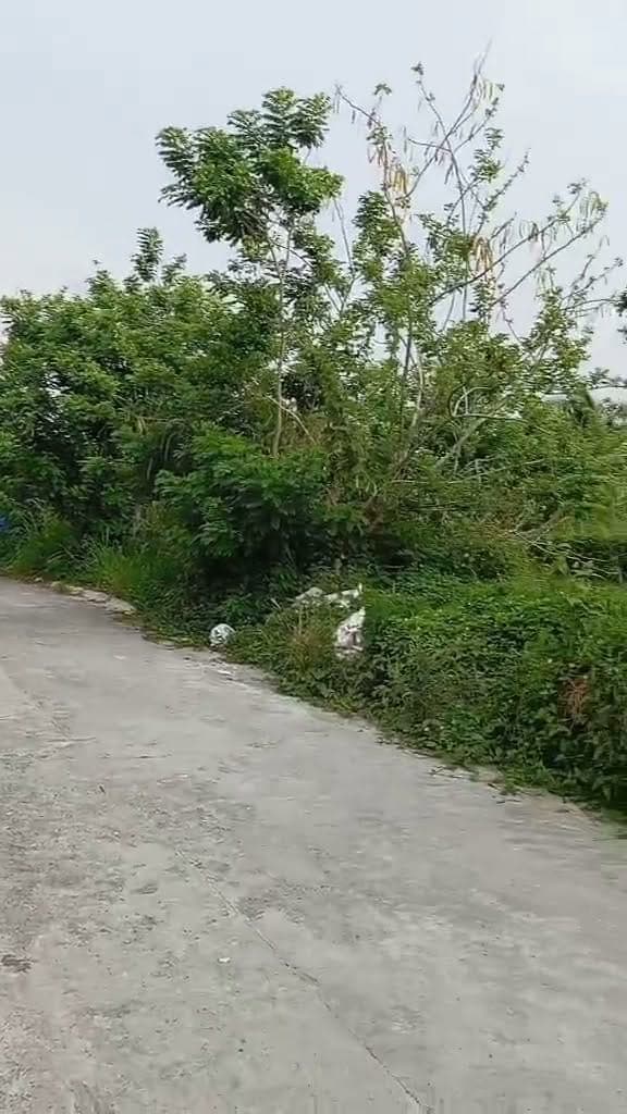 HOUSE FOR RENT INSIDE OPEN SUBD.MAITIM TAGAYTAY CITY - photo 1