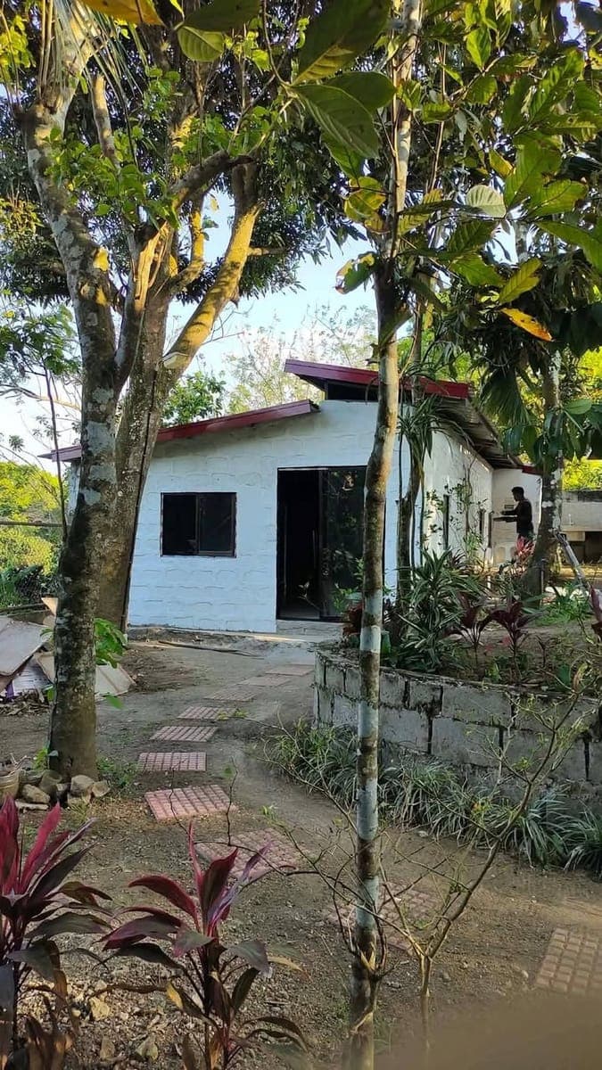📣 Property for rent - photo 4