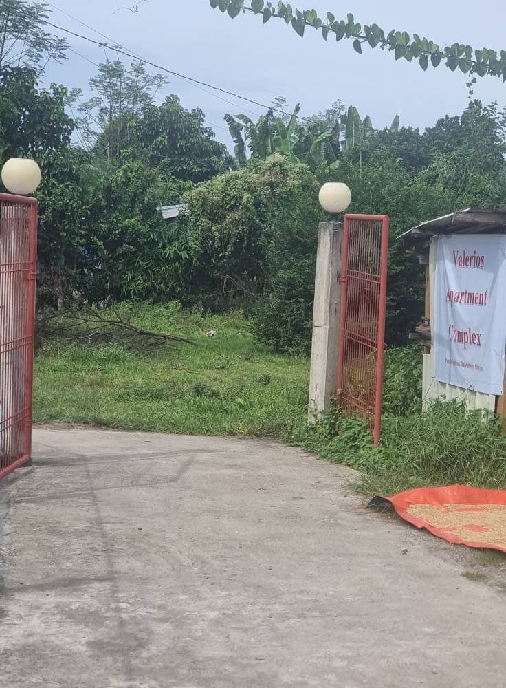 📍Located in Tubtubon, Sibulan - photo 28