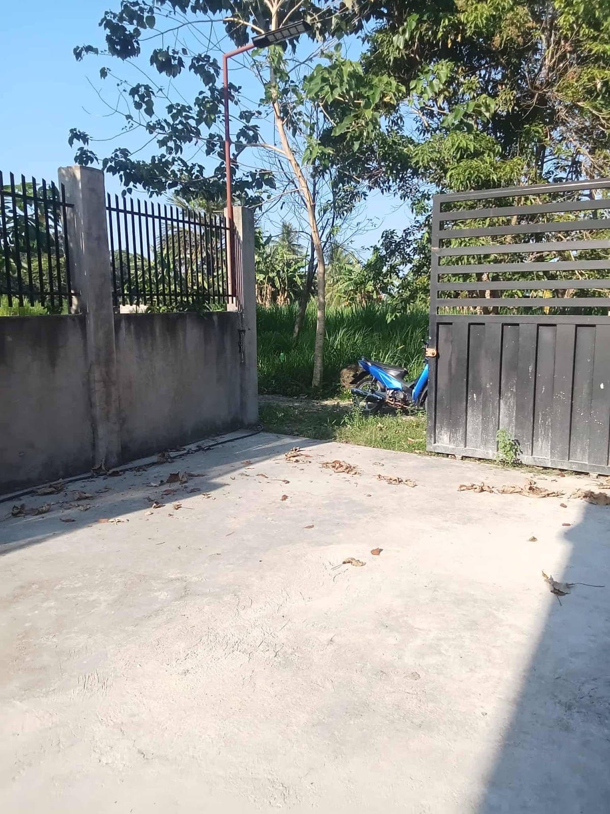 Apartment for Rent - photo 5