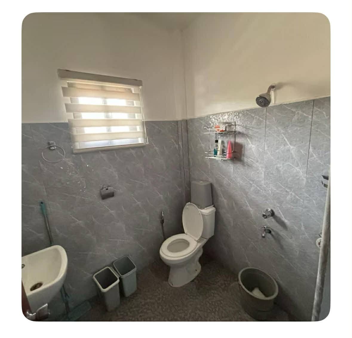 House for Rent - photo 5