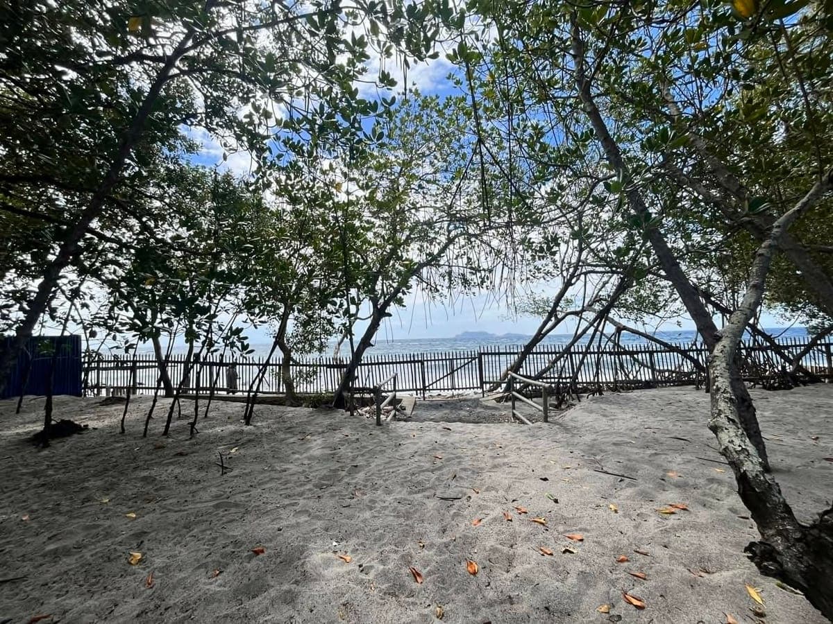 # **🏠FOR RENT - Basak, Zamboanguita, Negros Oriental** - photo 5