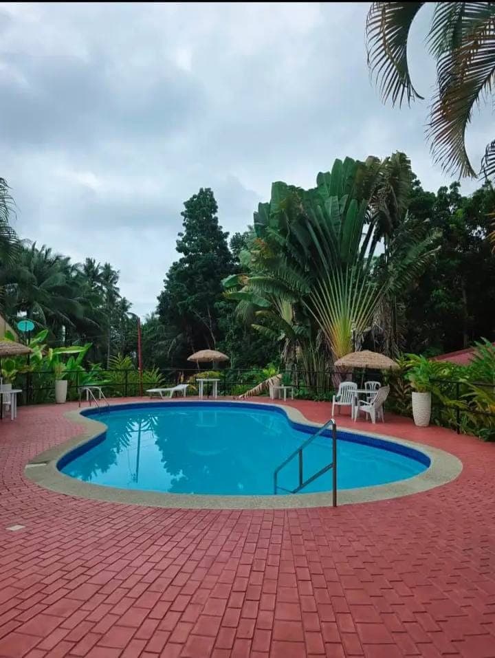 Apartment for Rent - photo 1