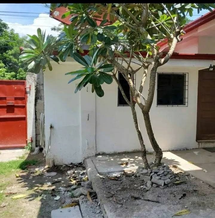 Apartment for Rent - photo 2