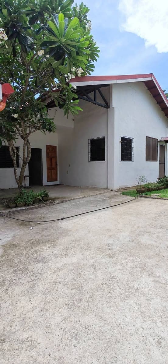 Apartment for Rent - photo 2