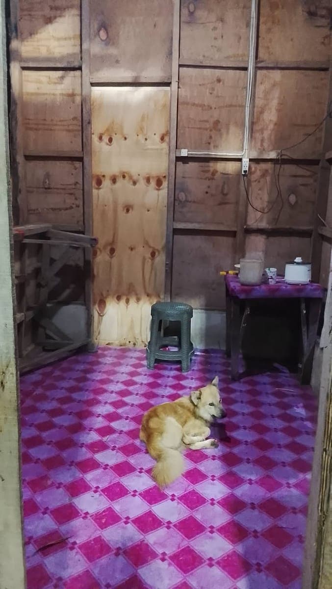 Room for rent - photo 1