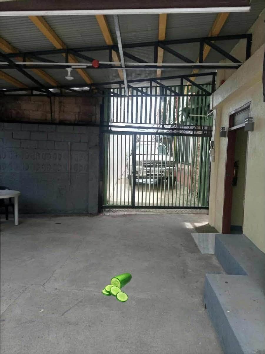 FOR RENT🏠 - photo 2