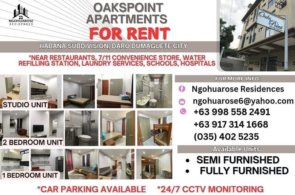 🏠 APARTMENT FOR RENT – Dumaguete City - photo 1
