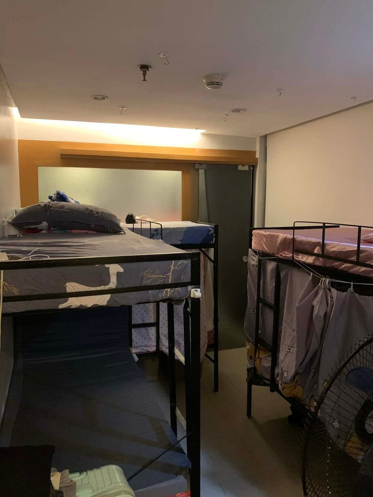 ✨ COZY & AFFORDABLE BED SPACE/CONDO SHARE AVAILABLE! ✨ - photo 9