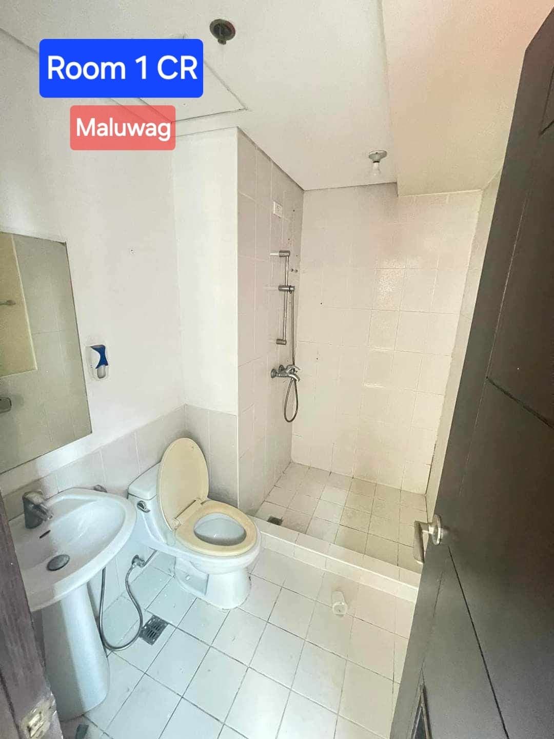 Looking for 1 Female tenant - photo 3