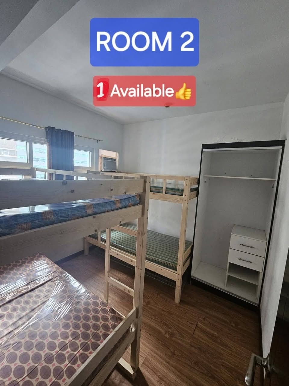 Looking for 1 Female tenant - photo 1