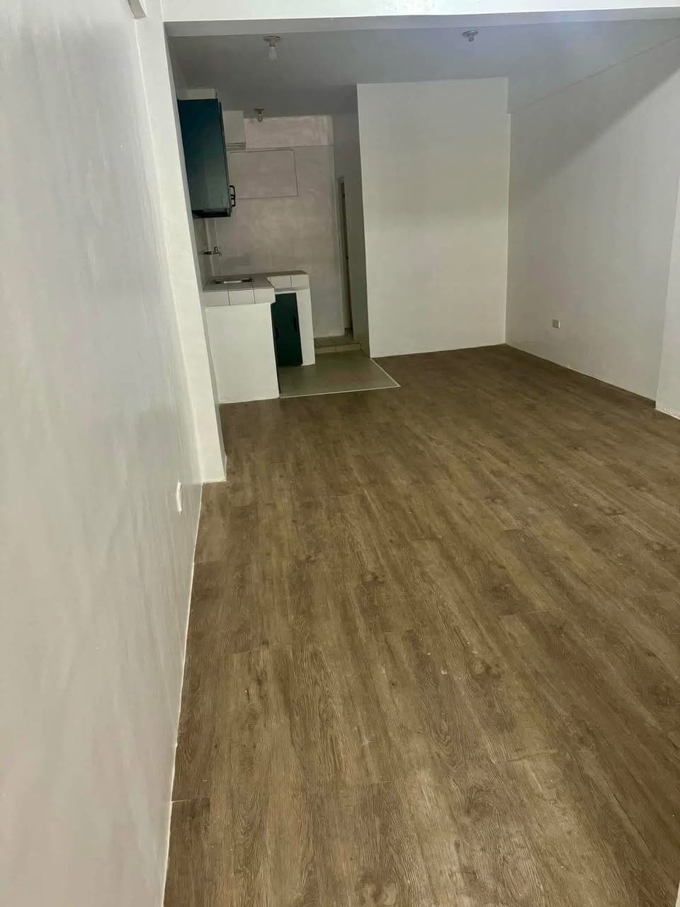 Huge Studio for Rent along Nueve De Febrero - photo 4