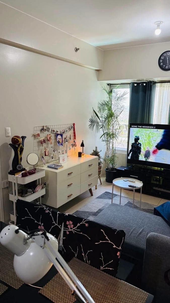 Fully Furnished - photo 5