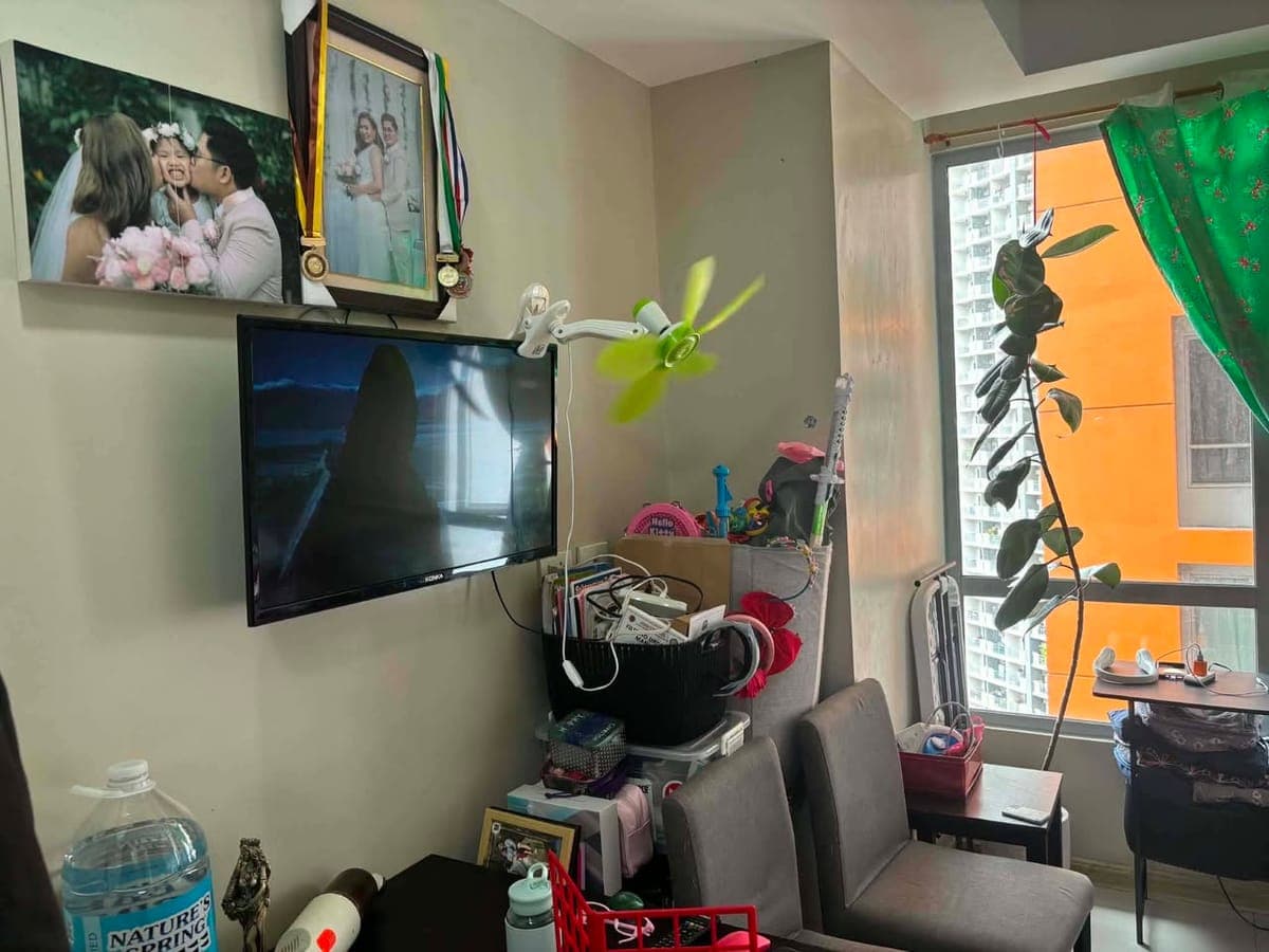 Sunshine 100 for rent - photo 3