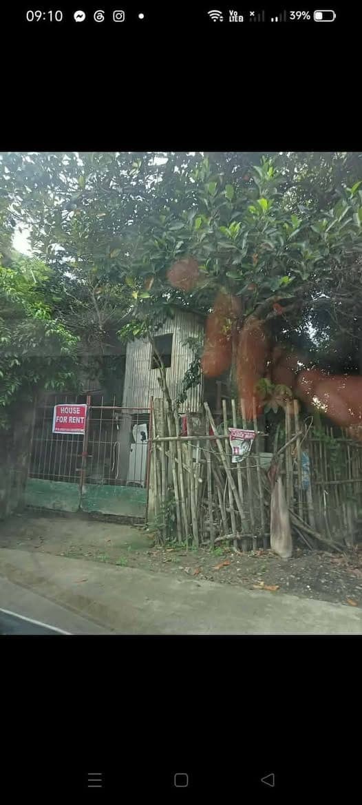 Room for rent 2k, location Villa Juanita subd, eucalyptus st, pavia - photo 1