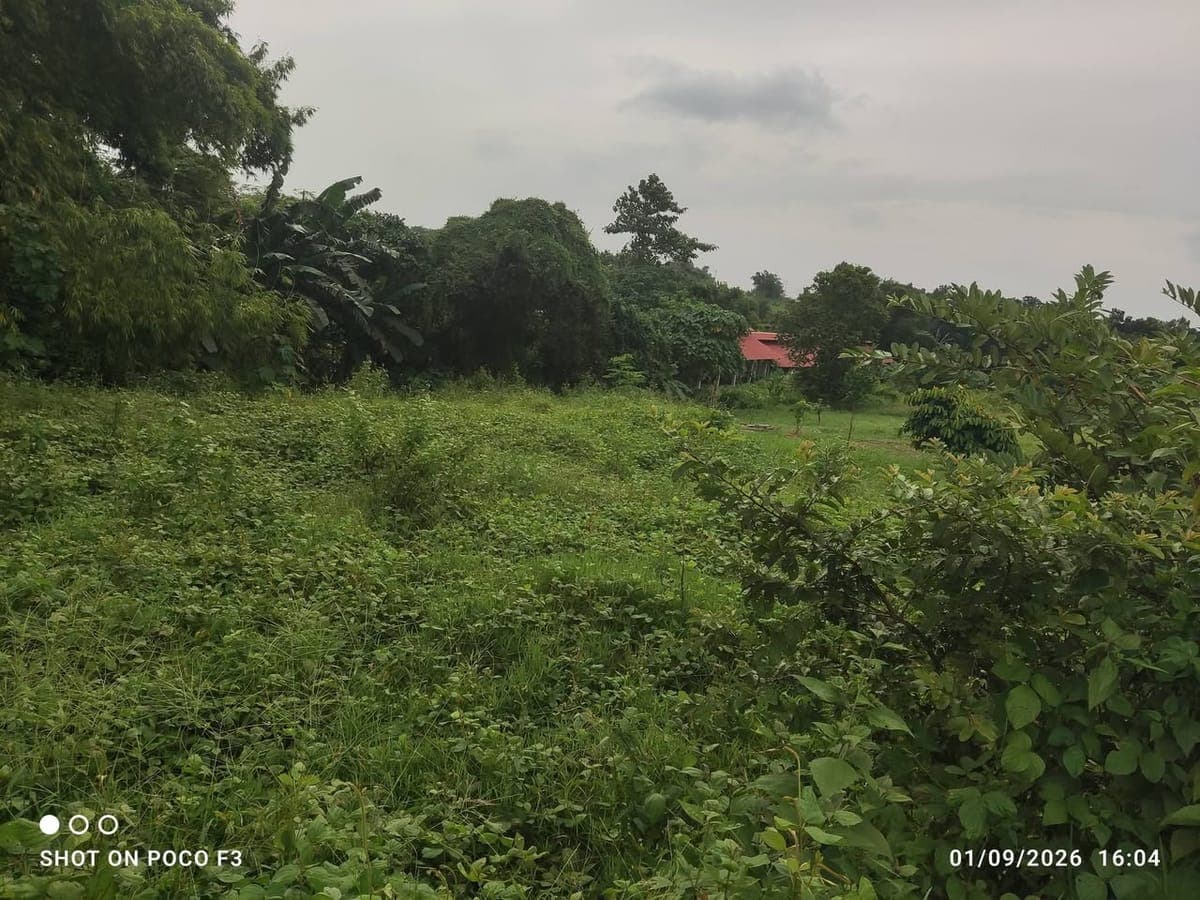 400 sqm lot Gabihan San ildefonso bulacan - photo 1