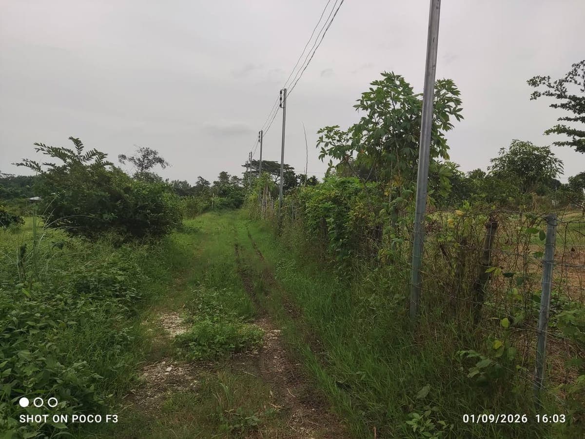 400 sqm lot Gabihan San ildefonso bulacan - photo 2