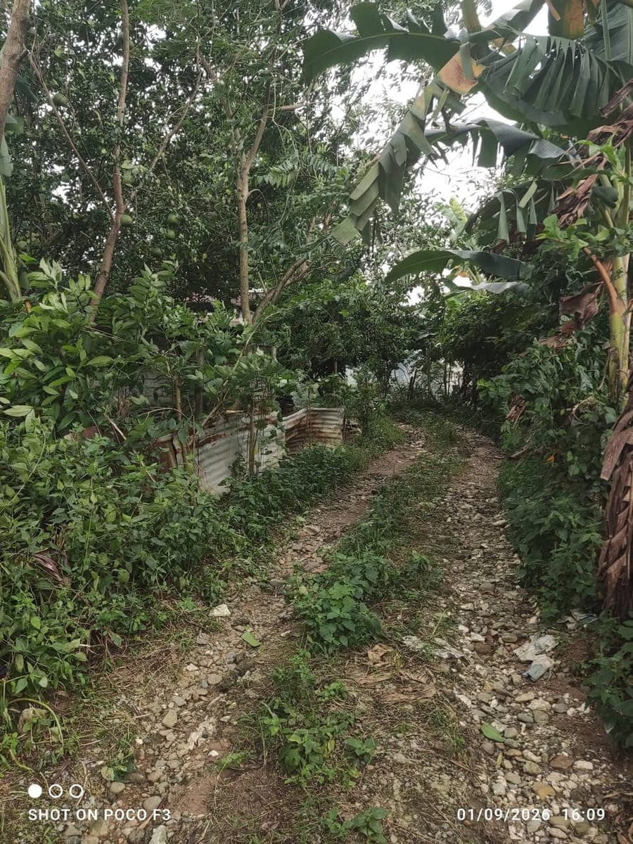 400 sqm lot Gabihan San ildefonso bulacan - photo 3