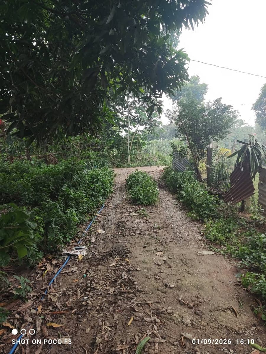 400 sqm lot Gabihan San ildefonso bulacan - photo 5