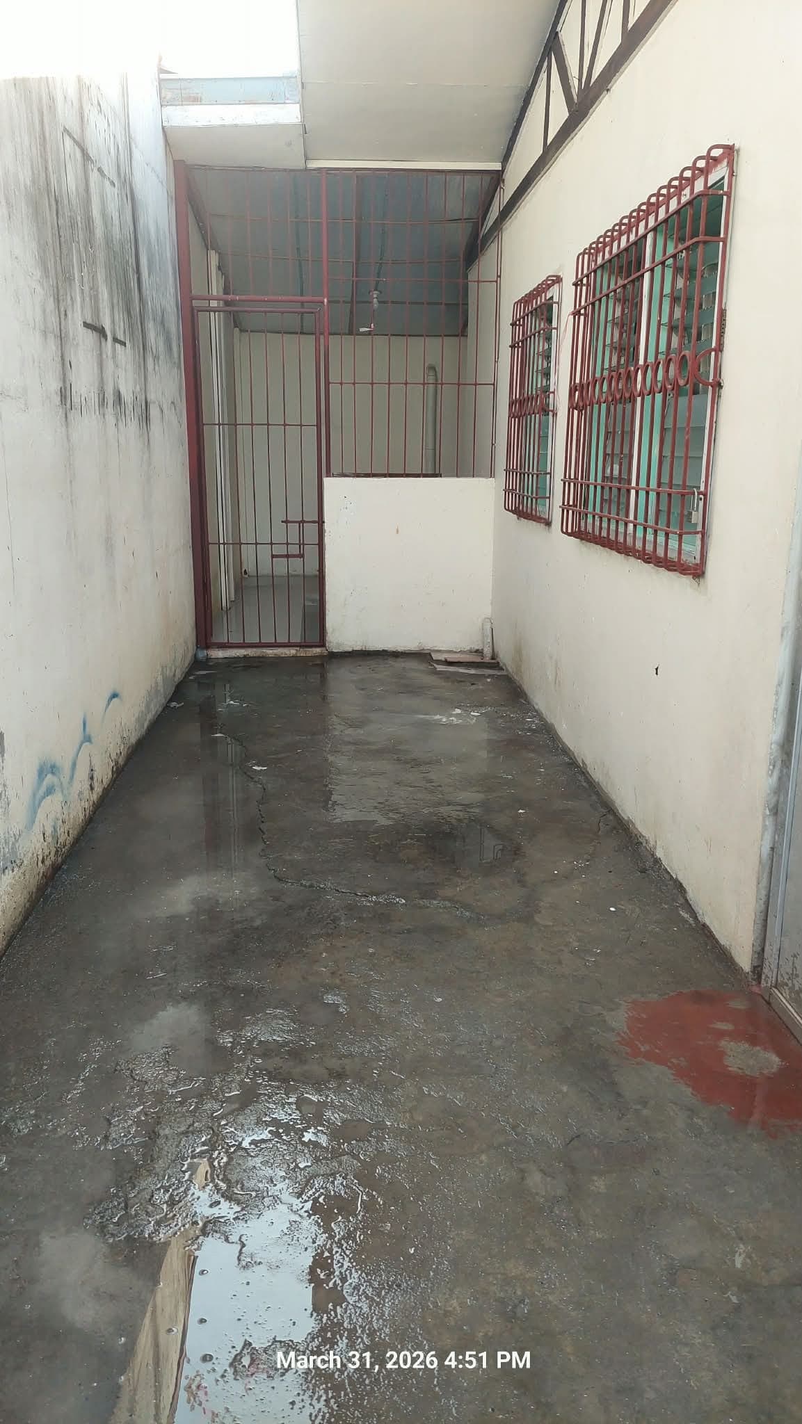 House For Rent - photo 7