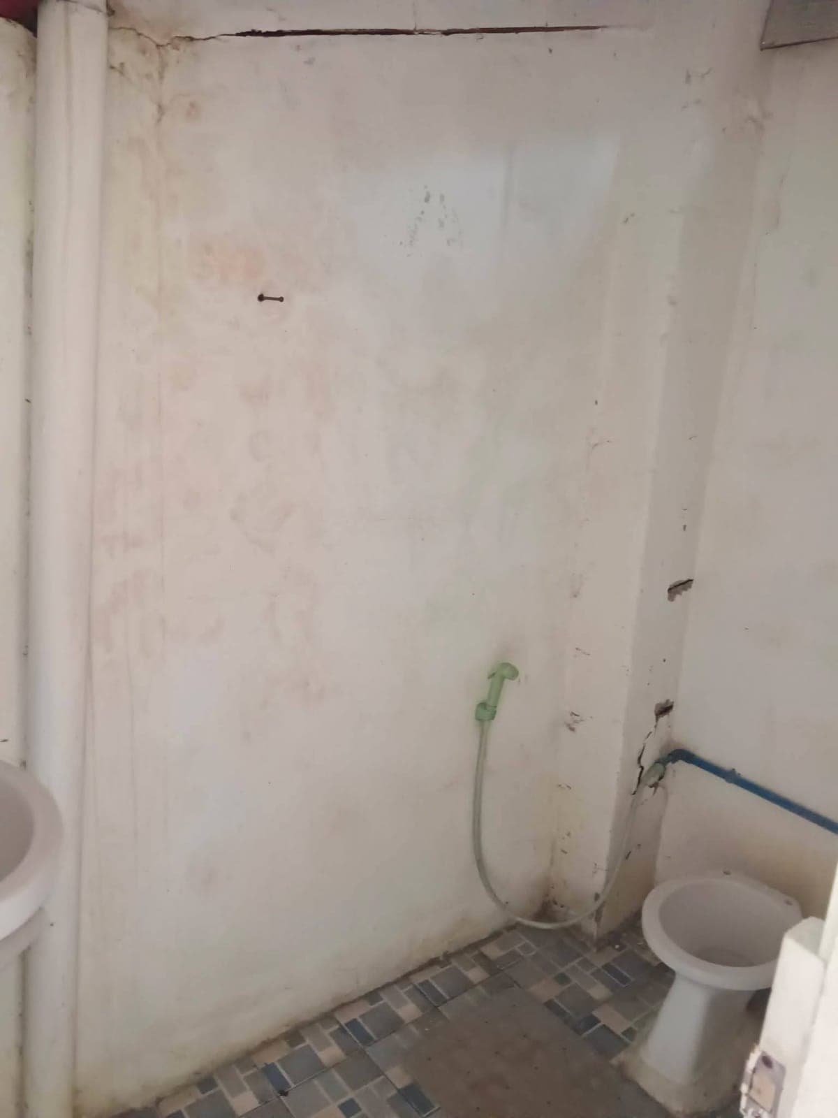 House for rent: Semi Furnished - photo 7