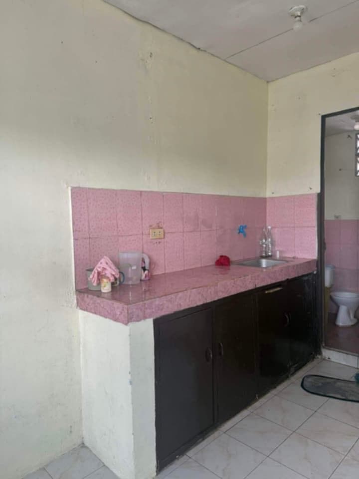 apartment for rent 4500 only - photo 3