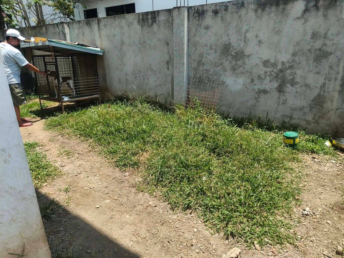 House for rent☺️ my 3 fan dining, sofa, cabinet  etc included na☺️2 rooms ang isa my aircon☺️ 15k/mo... - photo 2