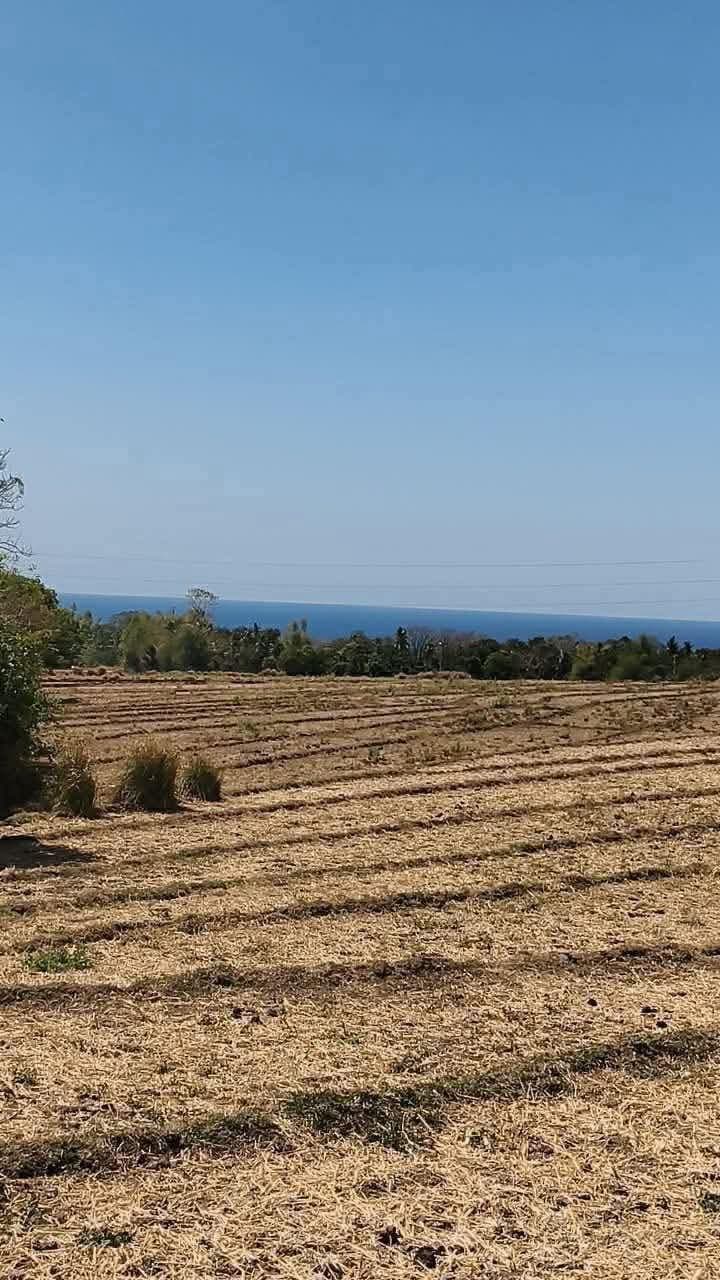 Escape the city, own the serenity🏝️ - photo 1