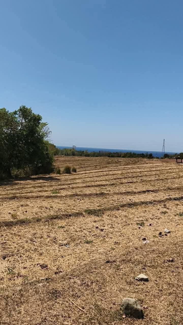 Escape the city, own the serenity🏝️ - photo 2