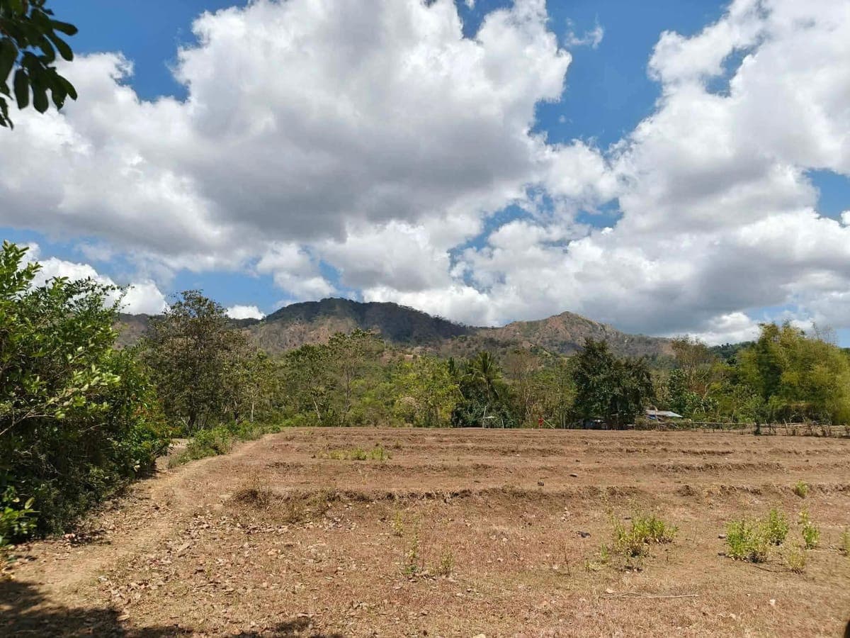 Escape the city, own the serenity🏝️ - photo 3