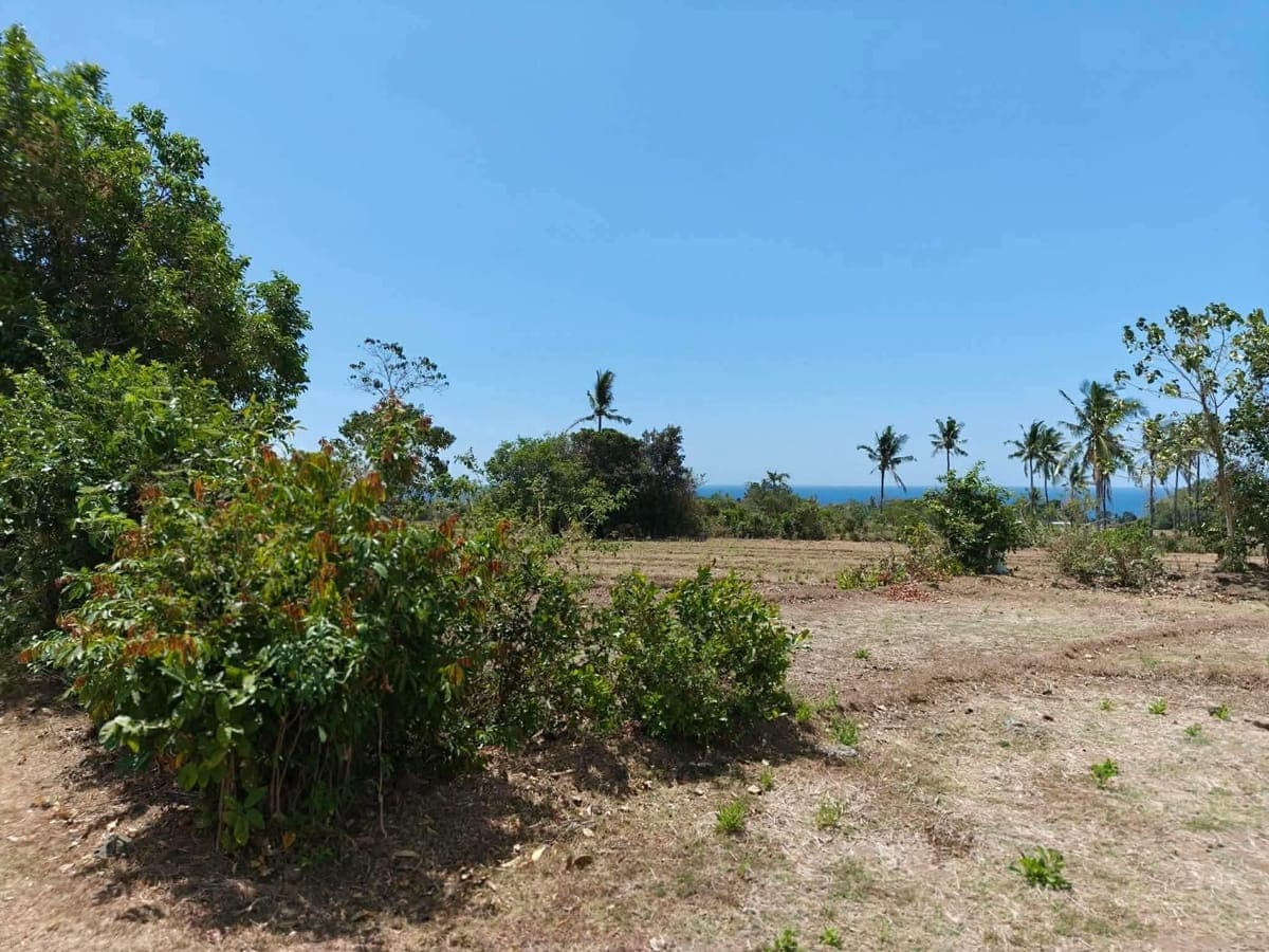 Escape the city, own the serenity🏝️ - photo 6