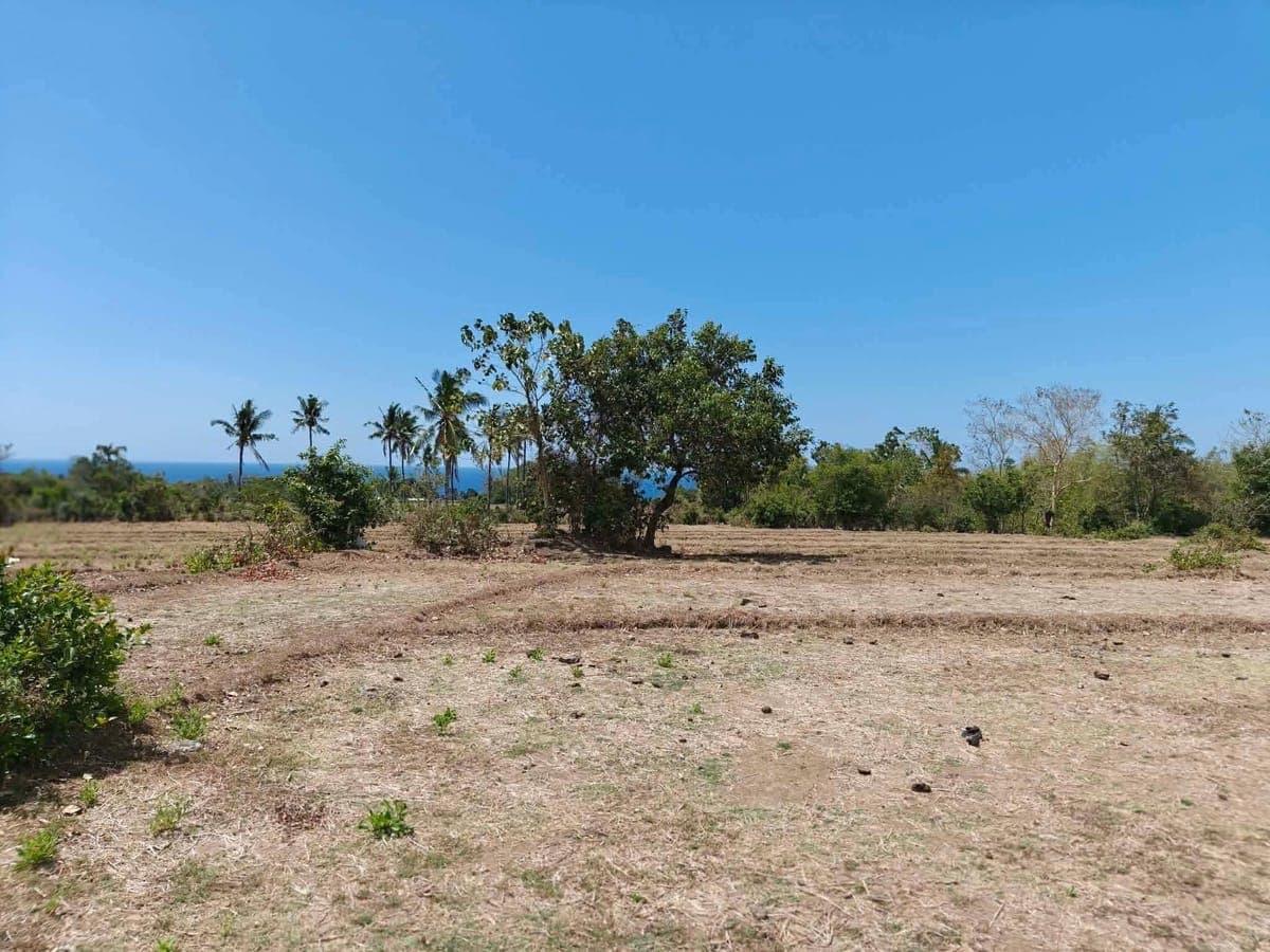 Escape the city, own the serenity🏝️ - photo 7