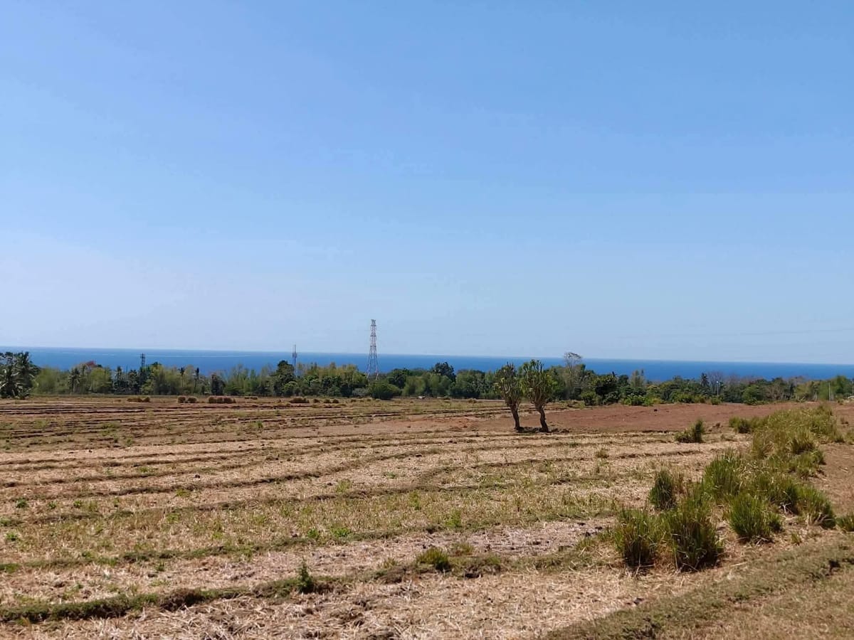 Escape the city, own the serenity🏝️ - photo 8