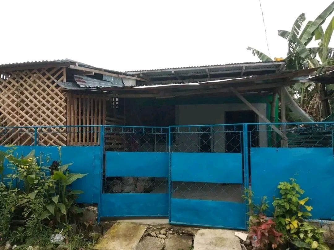 house for rent - photo 1