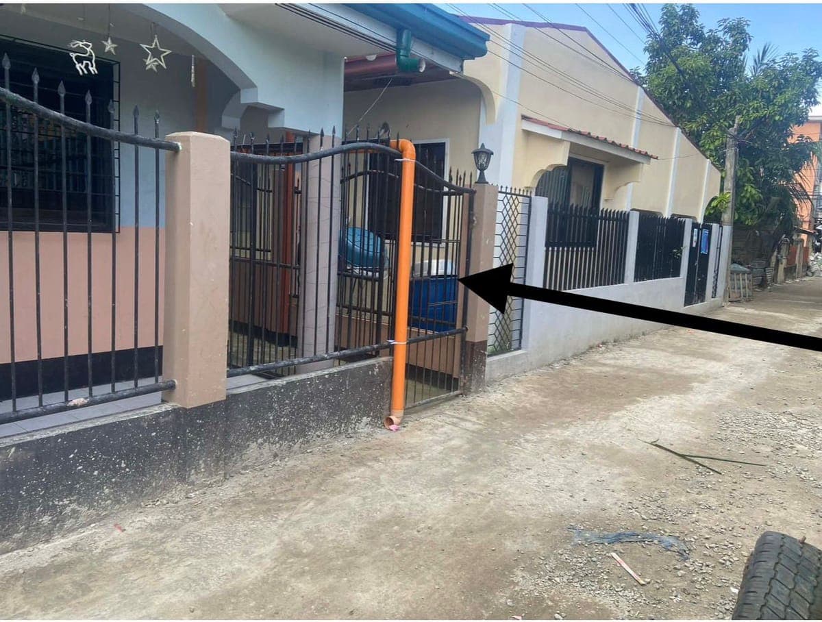 PTP Admin! - photo 4