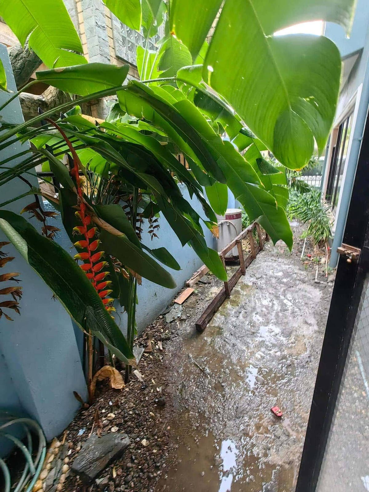 🏡 FOR RENT – Newly Renovated Single Detached House - photo 4