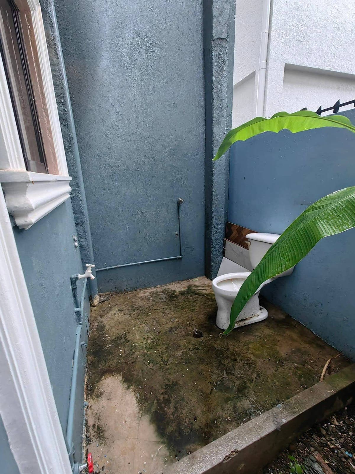 🏡 FOR RENT – Newly Renovated Single Detached House - photo 5