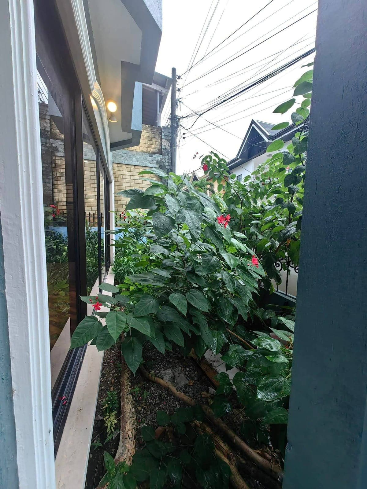 🏡 FOR RENT – Newly Renovated Single Detached House - photo 7