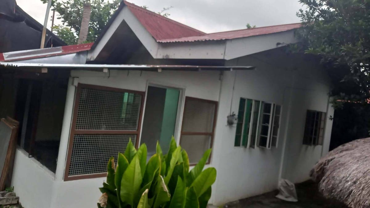 ‼️ ‼️HOUSE FOR RENT‼️ - photo 2