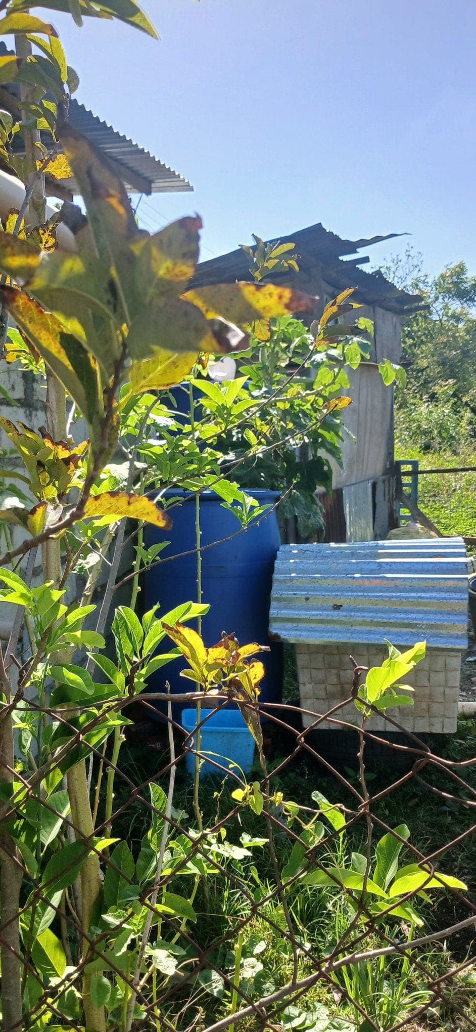 🏠 HOUSE FOR RENT or FOR SALE! - photo 1