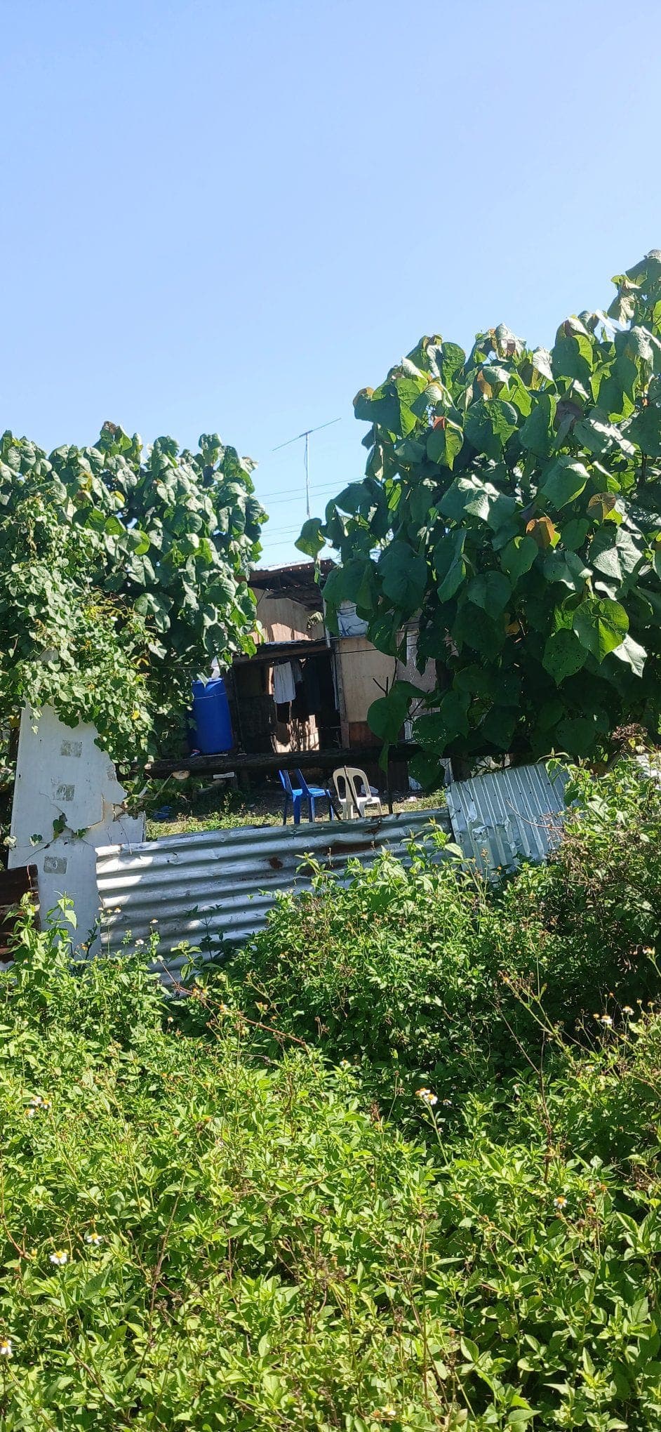 🏠 HOUSE FOR RENT or FOR SALE! - photo 2