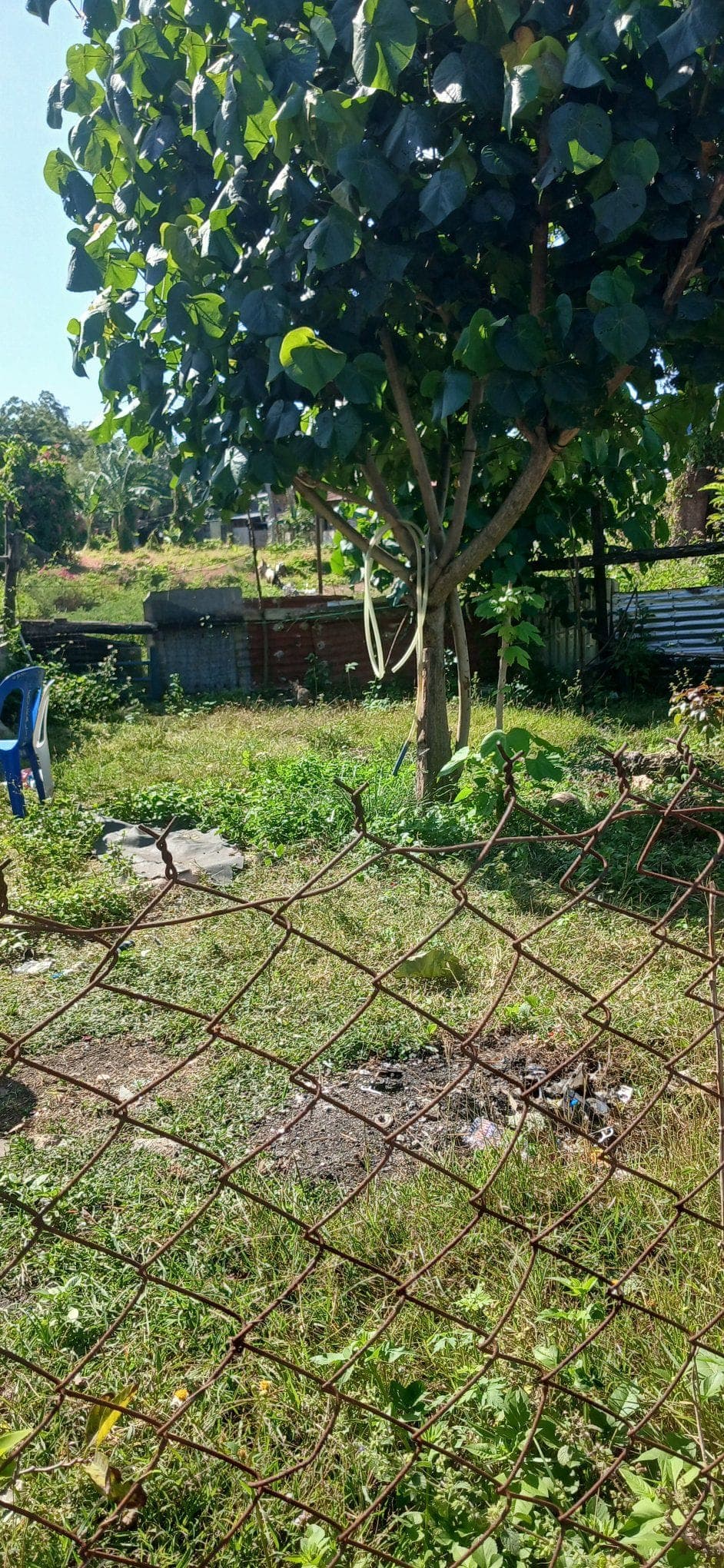 🏠 HOUSE FOR RENT or FOR SALE! - photo 3