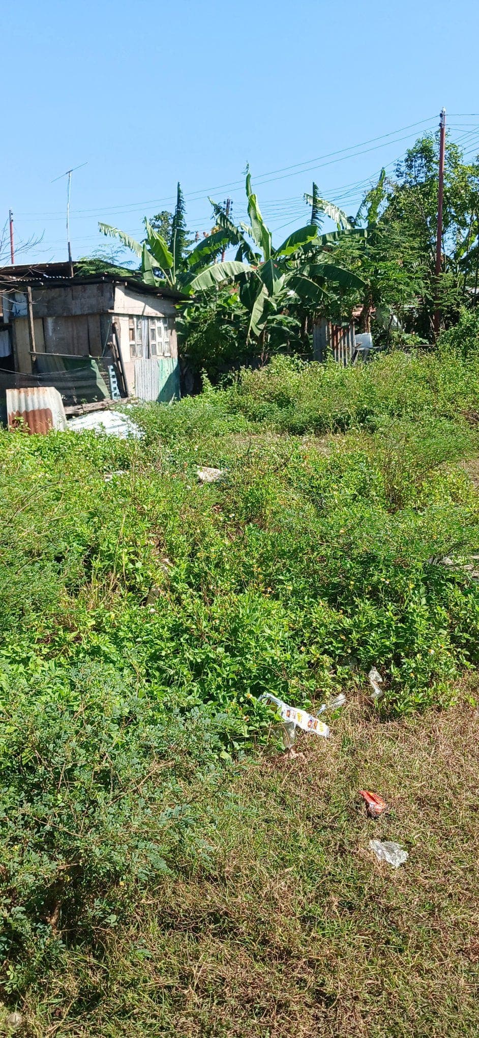 🏠 HOUSE FOR RENT or FOR SALE! - photo 5