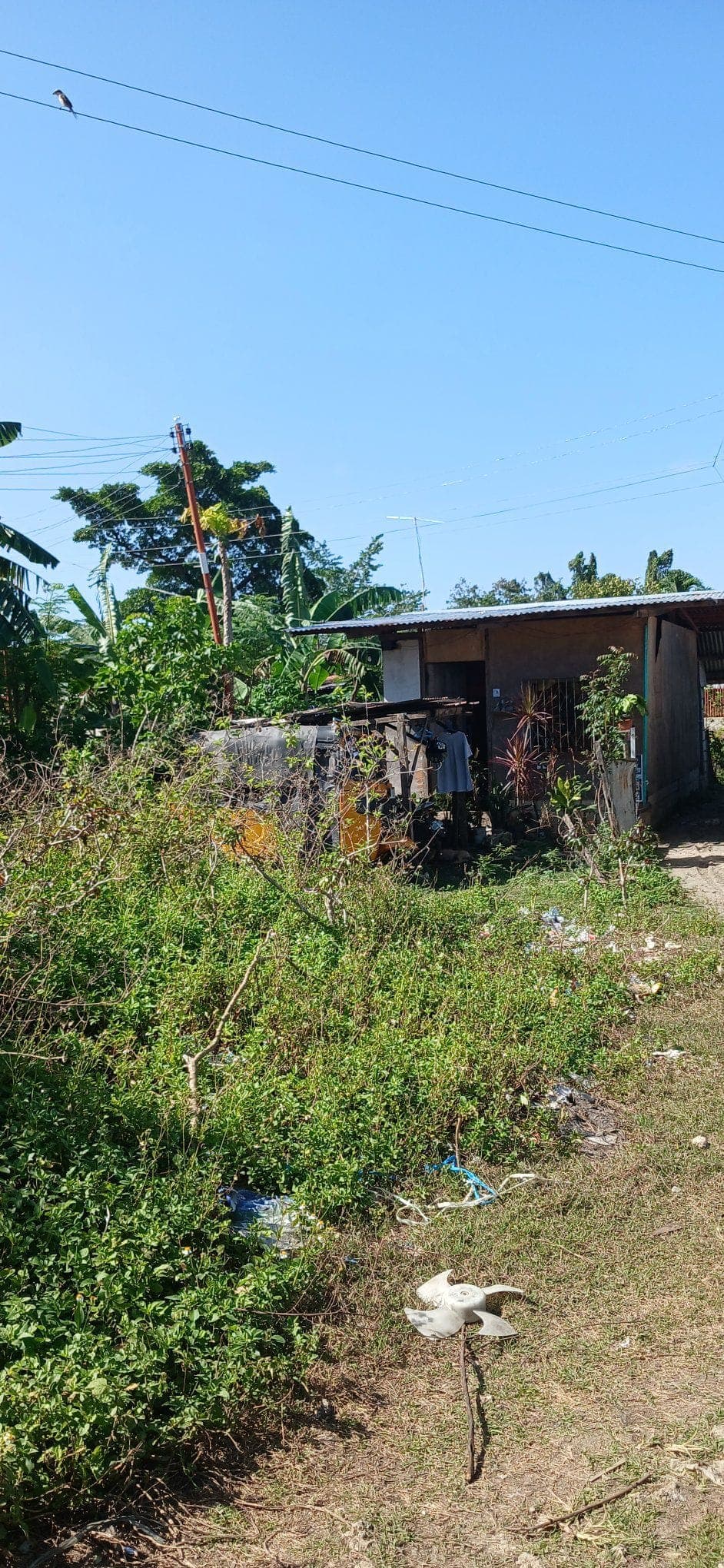 🏠 HOUSE FOR RENT or FOR SALE! - photo 6