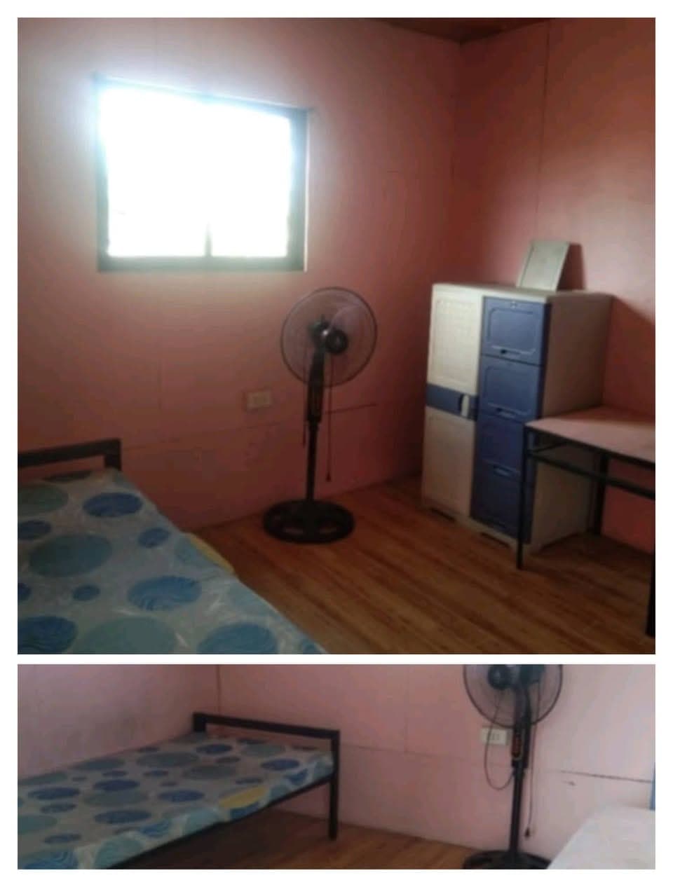 PTPA:tnx - photo 2
