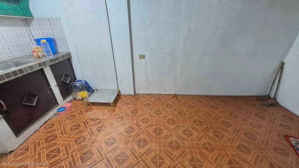 HOUSE FOR RENT - photo 3