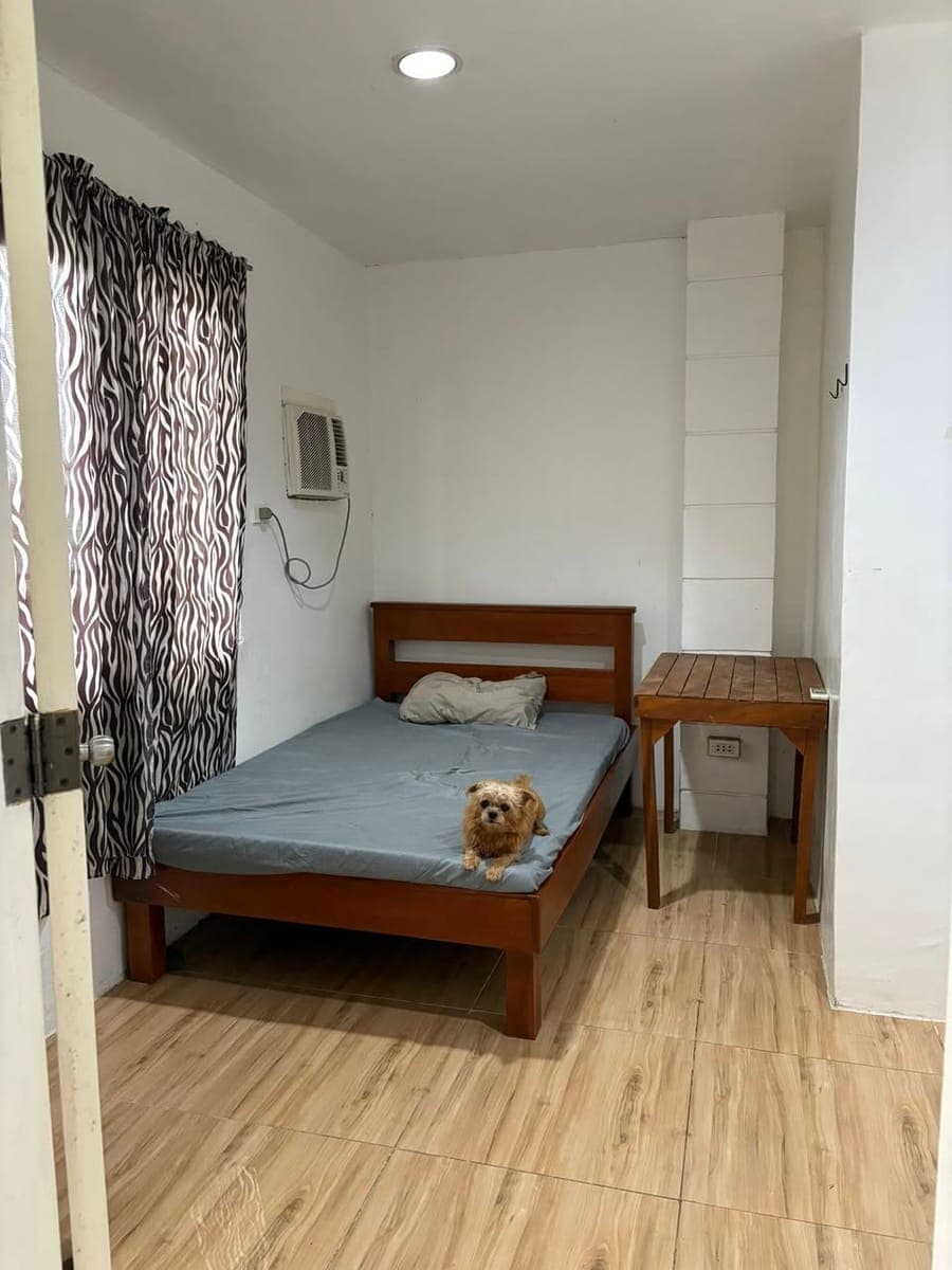 ROOM FOR RENT - photo 1