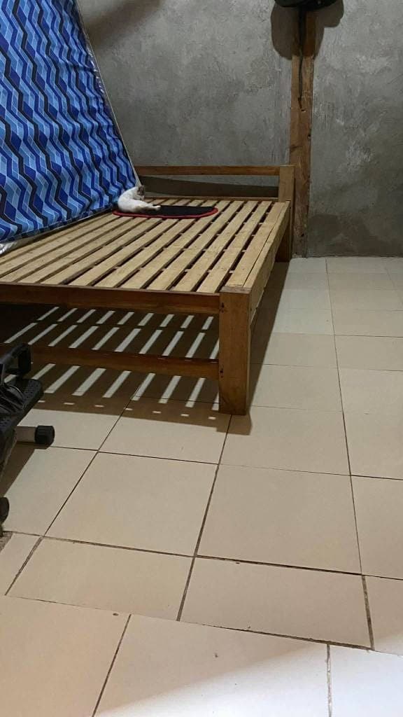 House for Rent - photo 1